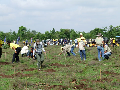 นักเรียนจาก รร.ทัพพระยา และสมาชิกออฟโรดช่วยกันปลูกป่าครับ