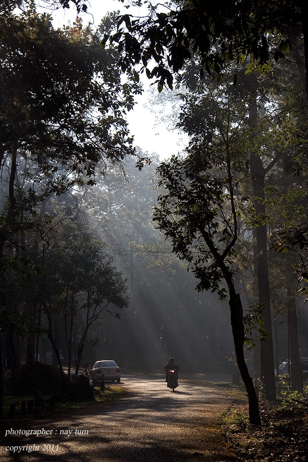 ...แสงส่อง ถนนยามเช้า เริ่มจะเข้าสู่ขบวนการทำงานตามปกติของผู้ดูแลป่า...